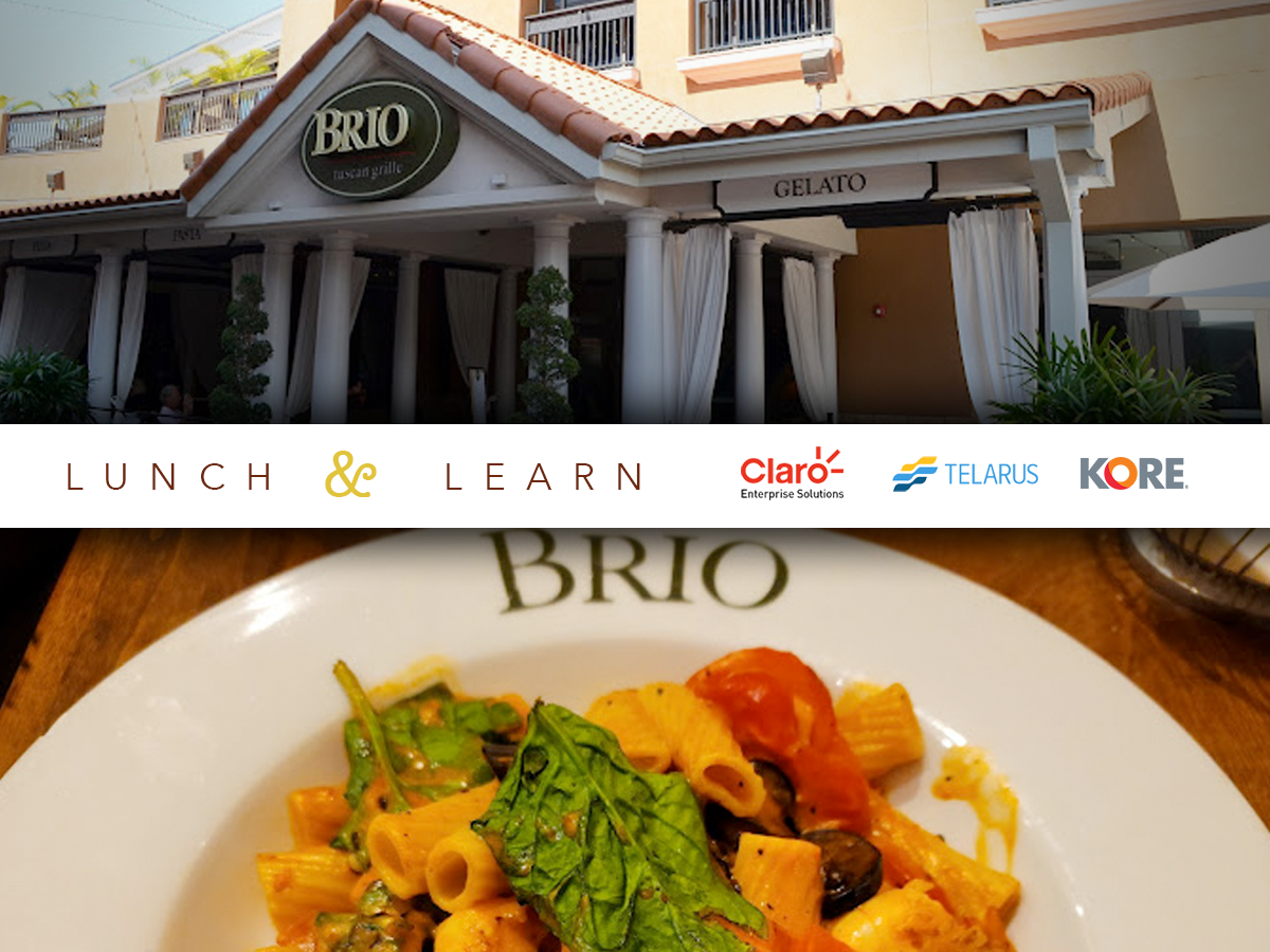 lunch and learn_brio